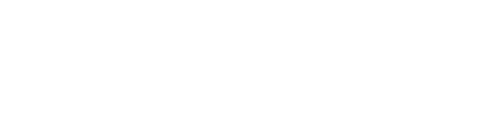 NSFlow